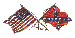 Crossed flags