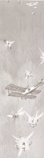 Air Fight