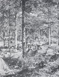 Bivouac